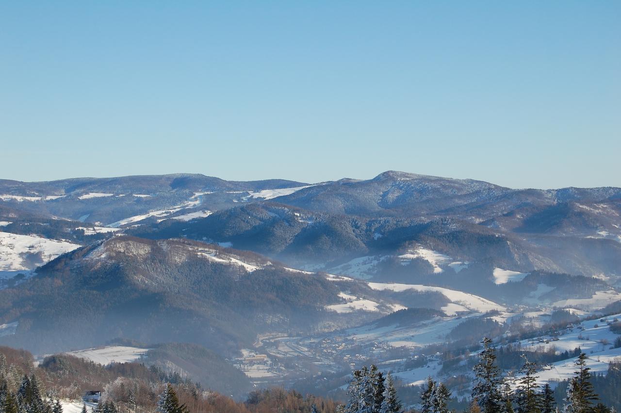 Willa Pod Kasztanami Piwniczna-Zdroj Exterior foto